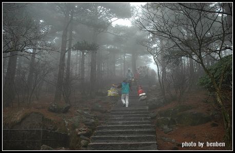 烟雨黄山24