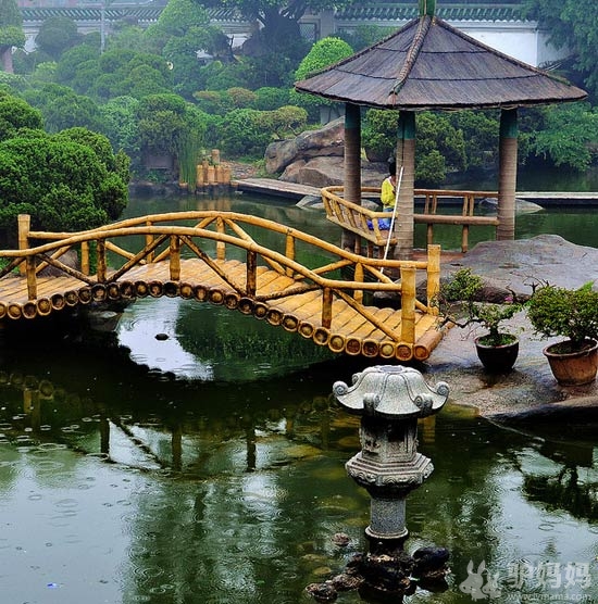 鼓浪屿景点推荐篇--最爱的鼓浪屿，鼓浪屿的最爱6