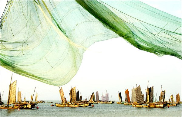 吃蟹只有阳澄湖？你OUT啦！ 上海周边吃蟹好去处1