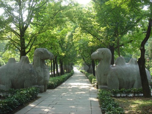 金陵怀古，钟山风雨——2007年旅游日记：6.11  南京2