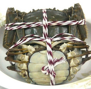 吃蟹岂止江浙沪？金秋吃蟹全国总动员10