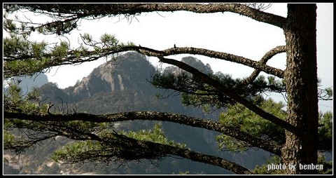 烟雨黄山16