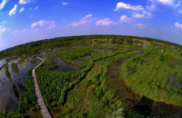 吃蟹只有阳澄湖？你OUT啦！ 上海周边吃蟹好去处5