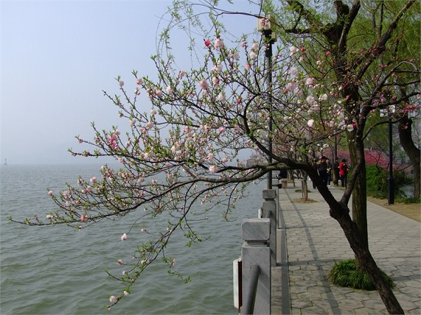 无锡蠡园旅游攻略3