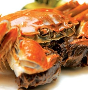 吃蟹岂止江浙沪？金秋吃蟹全国总动员4