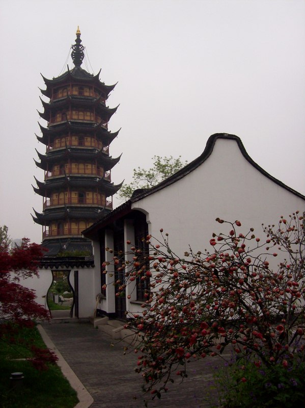 美丽的红梅公园(图文1