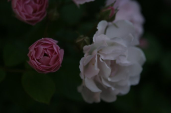 无锡短暂一日游记15