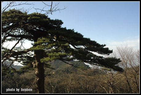 烟雨黄山15