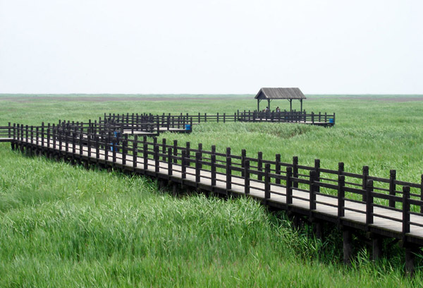 吃蟹只有阳澄湖？你OUT啦！ 上海周边吃蟹好去处7