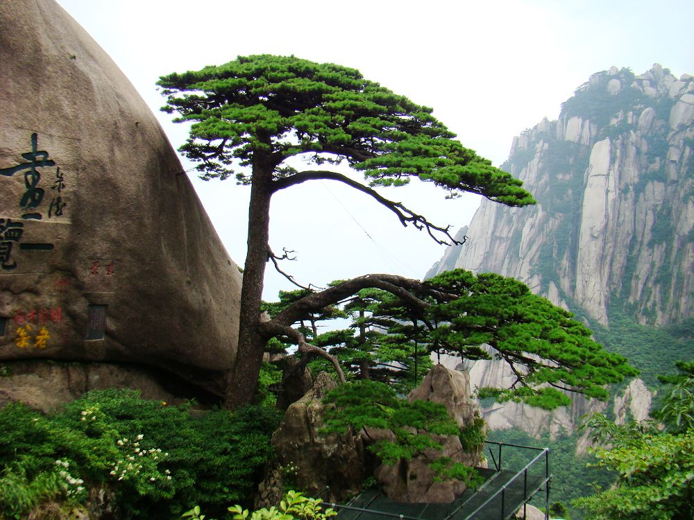 黄山记行～1