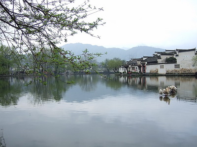 2009.4.3-4.11 杭州，黄山，九华山 九日游12