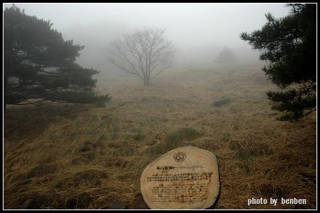 烟雨黄山25