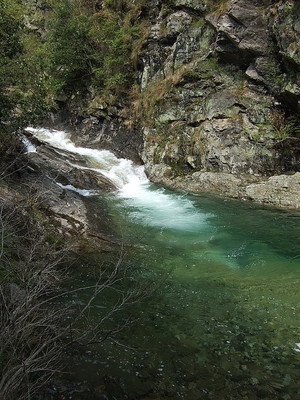 2009.4.3-4.11 杭州，黄山，九华山 九日游17