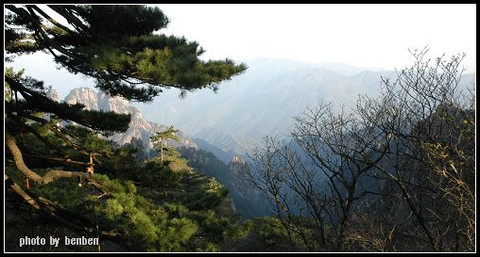 烟雨黄山13