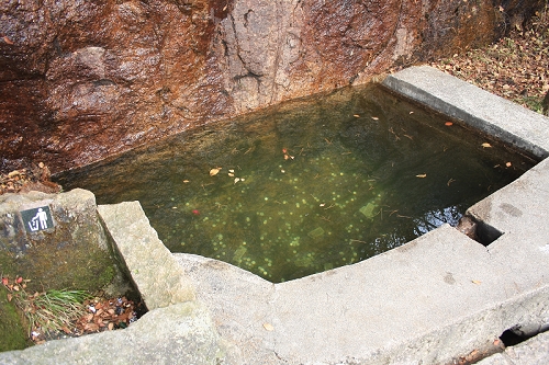 带四岁孩子爬黄山，一天行程5
