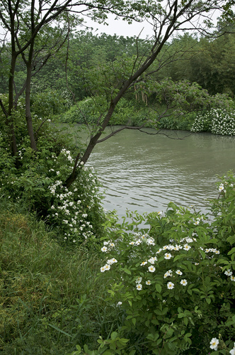 吃在西溪湿地氧在西溪4