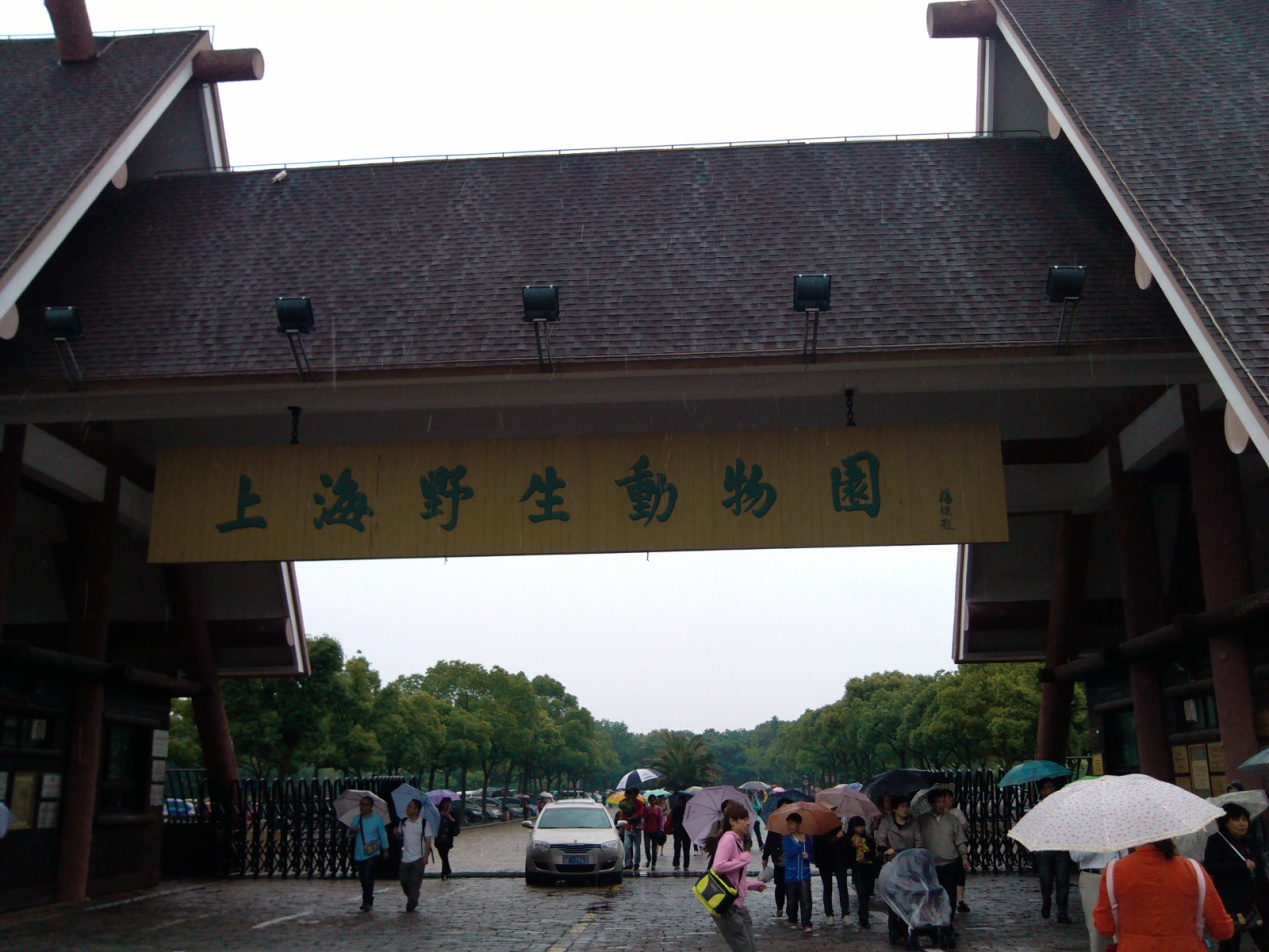 上海野生动物园游玩实用攻略1