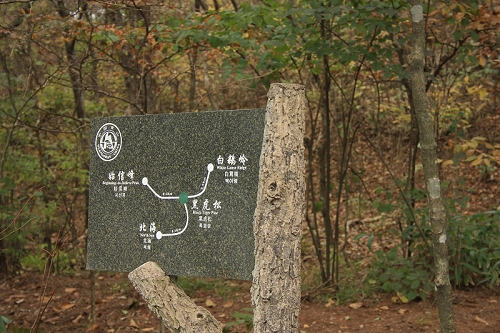 带四岁孩子爬黄山，一天行程15