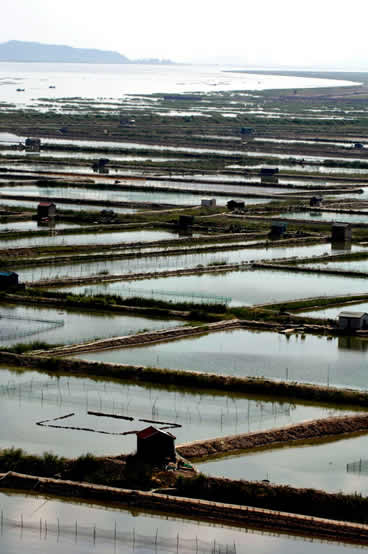 吃蟹只有阳澄湖？你OUT啦！ 上海周边吃蟹好去处9