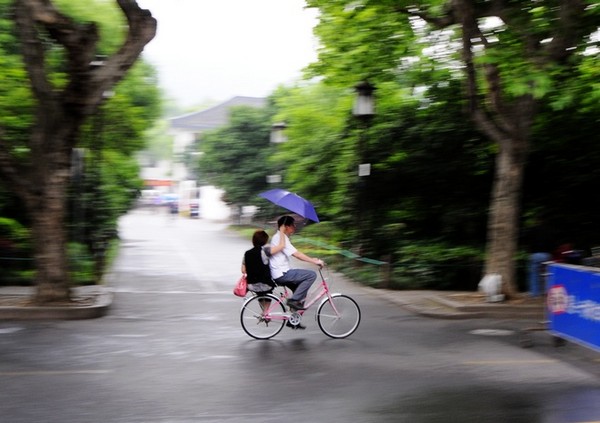 【杭州西湖雨纷纷】组图/文6