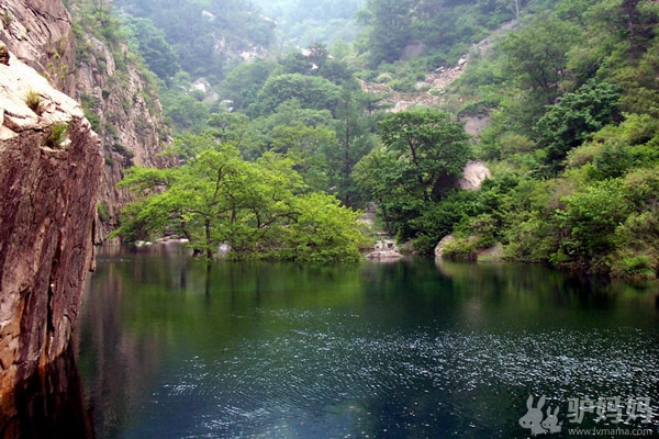 啤酒节醉梦青岛：山巅海畔，听涛絮语6