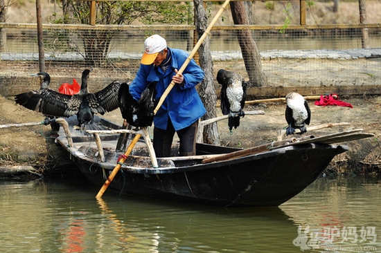 溱湖在哪里_溱潼湿地公园好玩吗_泰州溱湖湿地公园游记7