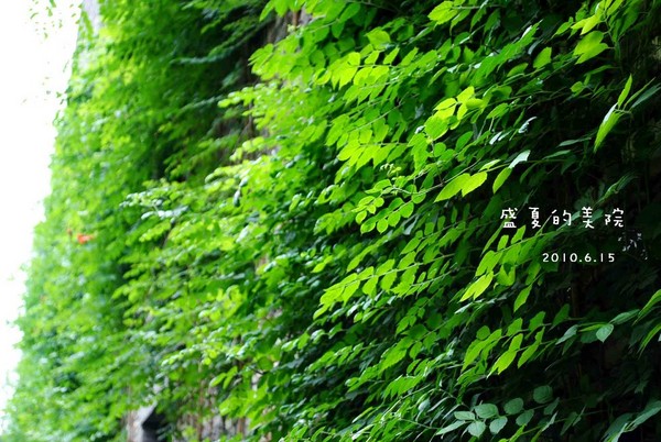 如果你来杭州，可以去国美看看6