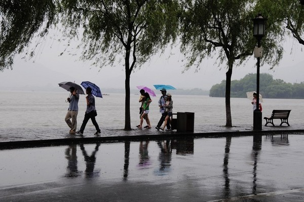 【杭州西湖雨纷纷】组图/文9