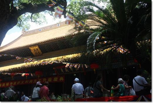 普陀山二日自助游与海天国度之普陀印象之三2