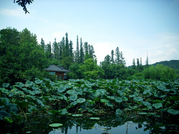 天堂一景 西湖一梦6