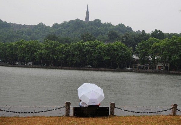 【杭州西湖雨纷纷】组图/文1