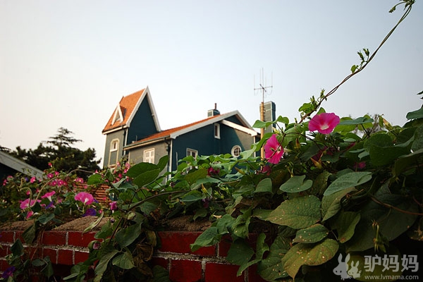 毕业旅行季：狂欢啤酒节，酣醉青岛5