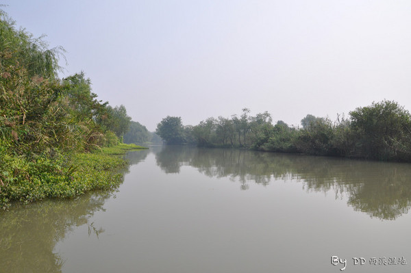 游杭州西溪湿地 偶遇林志颖14