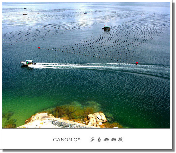 东部海岸·养殖渔排5