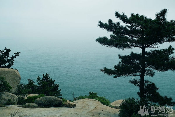 啤酒节醉梦青岛：山巅海畔，听涛絮语4