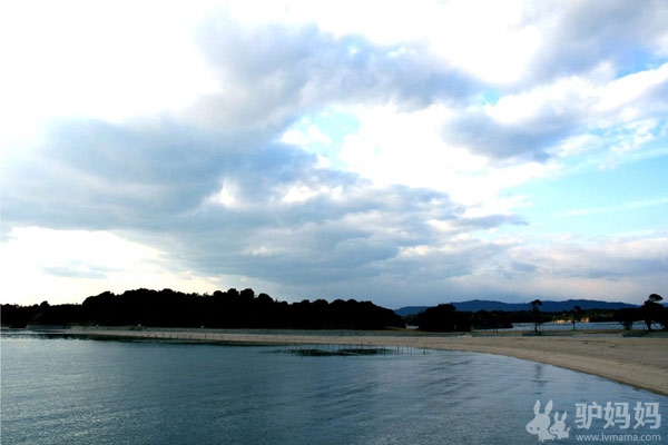 啤酒节醉梦青岛：山巅海畔，听涛絮语15