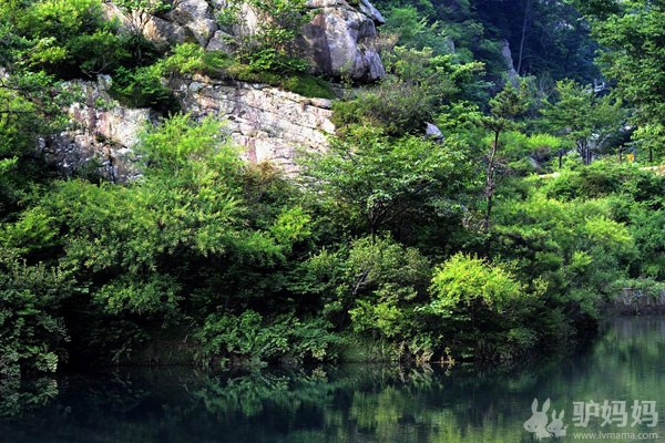 啤酒节醉梦青岛：山巅海畔，听涛絮语7