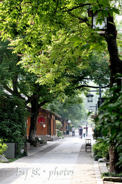 游杭州灵隐寺、天竺寺随拍10