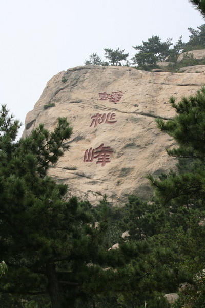 青岛，一杯妖娆的鸡尾酒（下）16