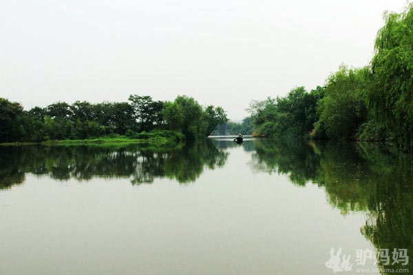 西溪湿地--城市高温下的避难所1