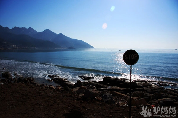 啤酒节醉梦青岛：山巅海畔，听涛絮语8