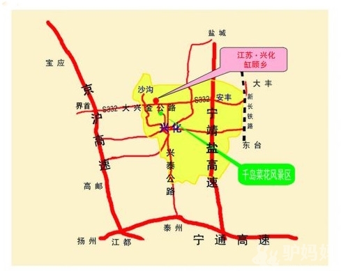 游玩、住宿、线路全攻略-兴化千岛菜花节实用信息大全5