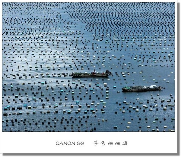 东部海岸·养殖渔排1
