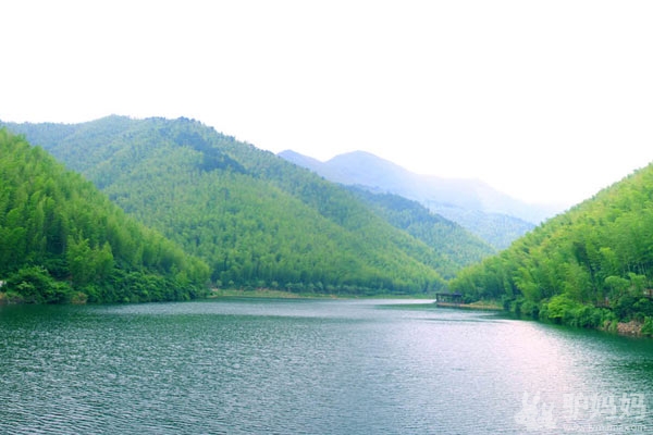 天目湖：南山竹海，枕水竹林过一夏1