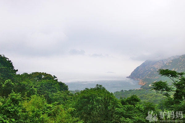 啤酒节醉梦青岛：山巅海畔，听涛絮语3