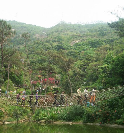 深圳之行6