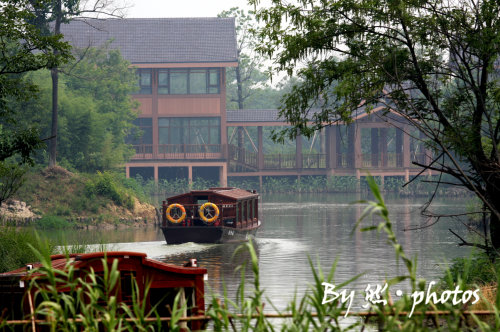 去杭州西溪过端午之静谧的西溪湿地1