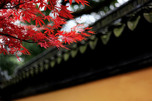 2012第19届天平山红枫节门票交通简要攻略1