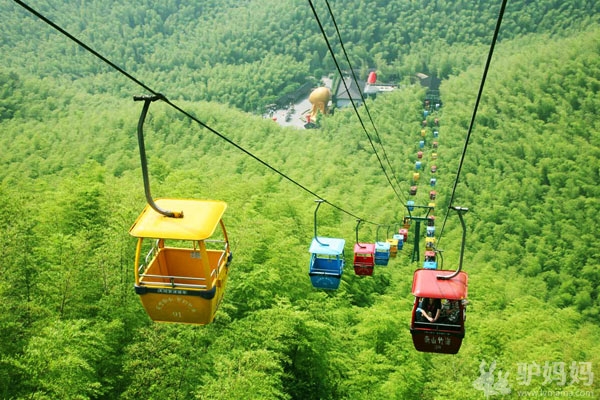 天目湖：南山竹海，枕水竹林过一夏4