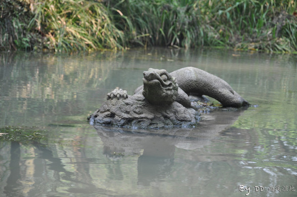 游杭州西溪湿地 偶遇林志颖8